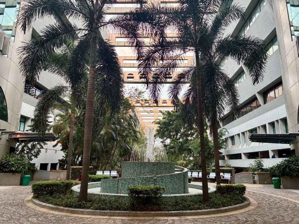 Cyber Gateway central palm courtyard with water fountain